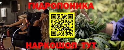 эйфоретик Берёзовский