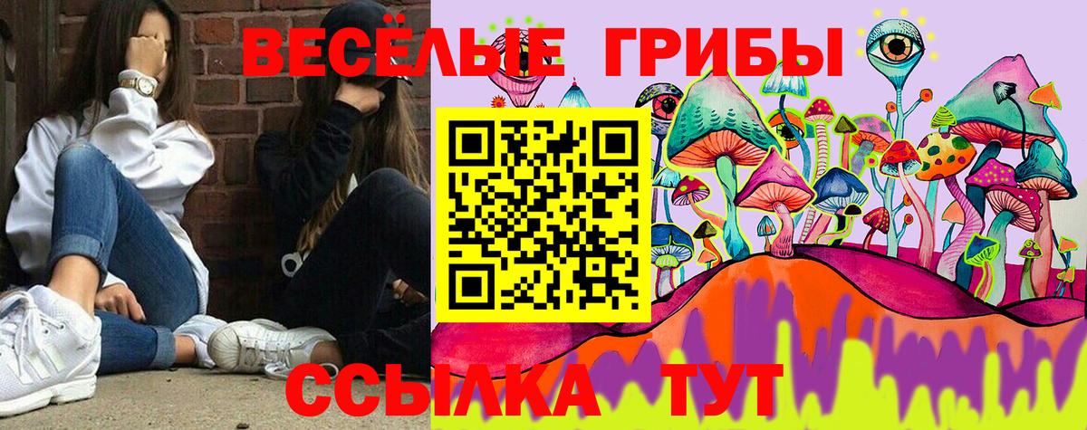 Галлюциногенные грибы MAGIC MUSHROOMS Ишимбай